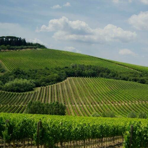 12-Day Italy Ultimate Experience (Rome, Tuscany, Venice & Amalfi) - Green fields under Tuscan skies