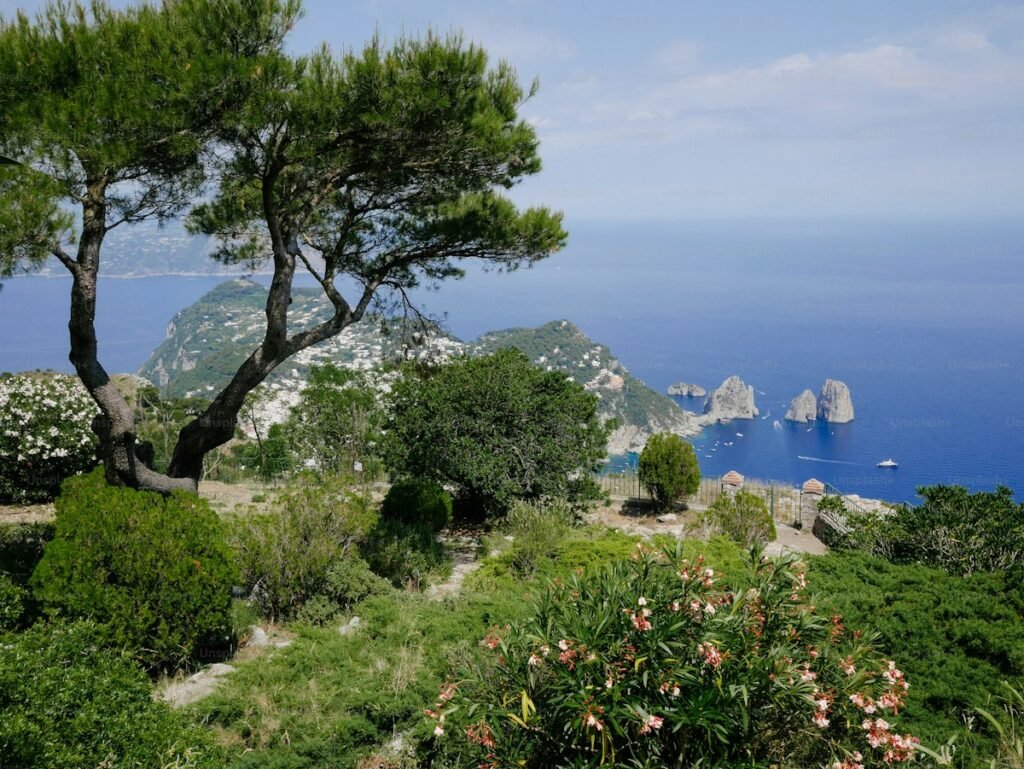 4-Day Rome & Capri Escape - Ocean view from Capri hilltop
