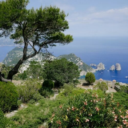 4-Day Rome & Capri Escape - Ocean view from Capri hilltop