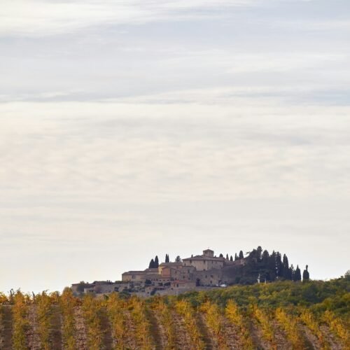 12-Day Italy Ultimate Experience (Rome, Tuscany, Venice & Amalfi) - Stone village above rows of autumn grapevines