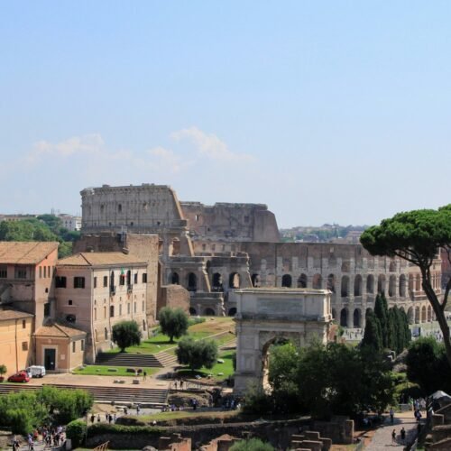 Roman Forum & Palatine Hill Guided Tour - The Colosseum near the Roman Forum
