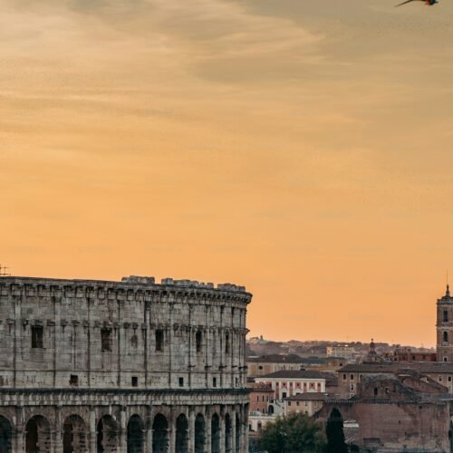 Ancient Rome in a Day — Complete Experience - Bird flying over Rome at sunset