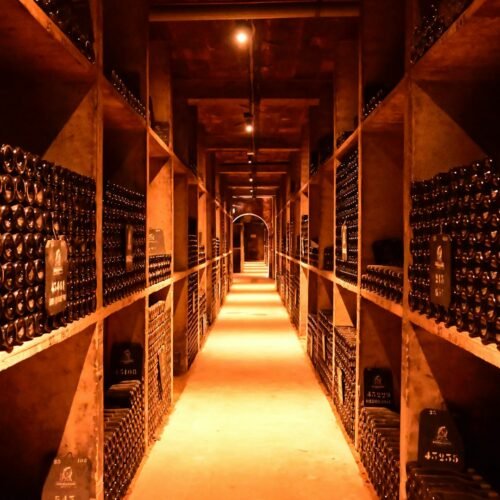 Food Tasting in a Historic Roman Cellar - Underground wine cellar room