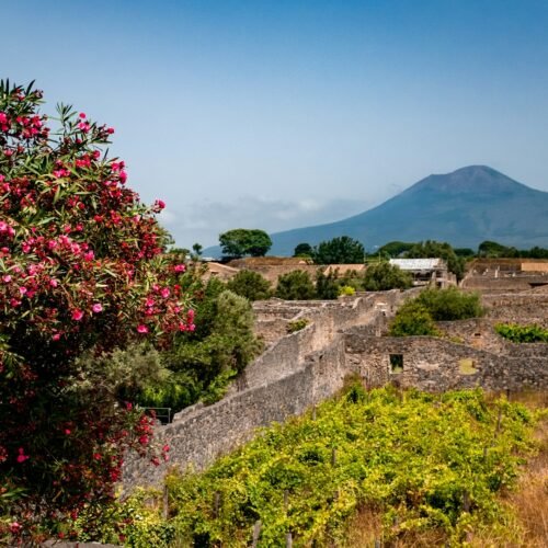 Pompeii & Naples Full-Day Adventure (from Rome) - View of Mount Vesuvius from the countryside