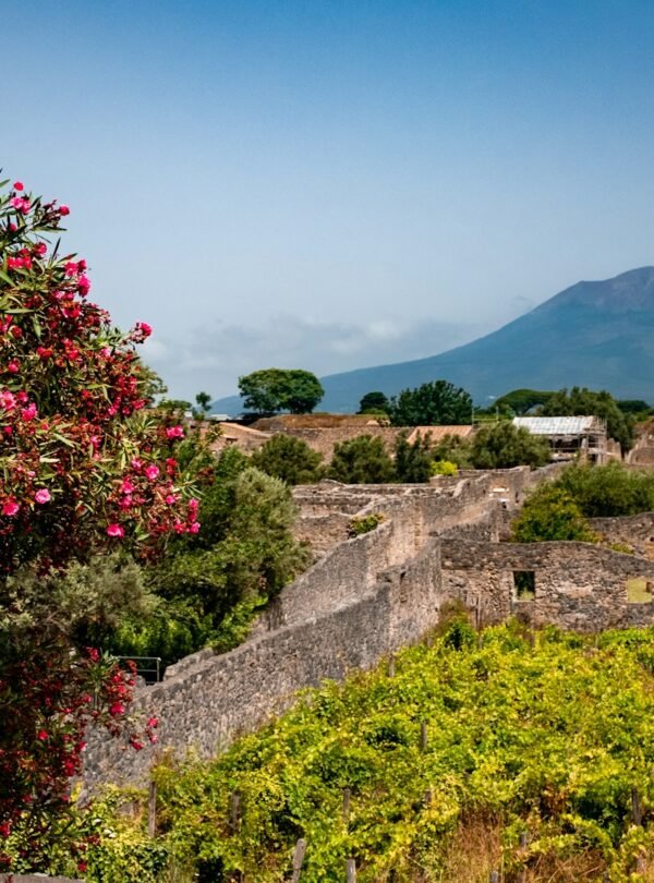 Pompeii & Naples Full-Day Adventure (from Rome) - View of Mount Vesuvius from the countryside