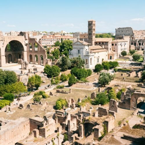 Roman Forum & Palatine Hill Guided Tour - Aerial view of the Roman Forum area