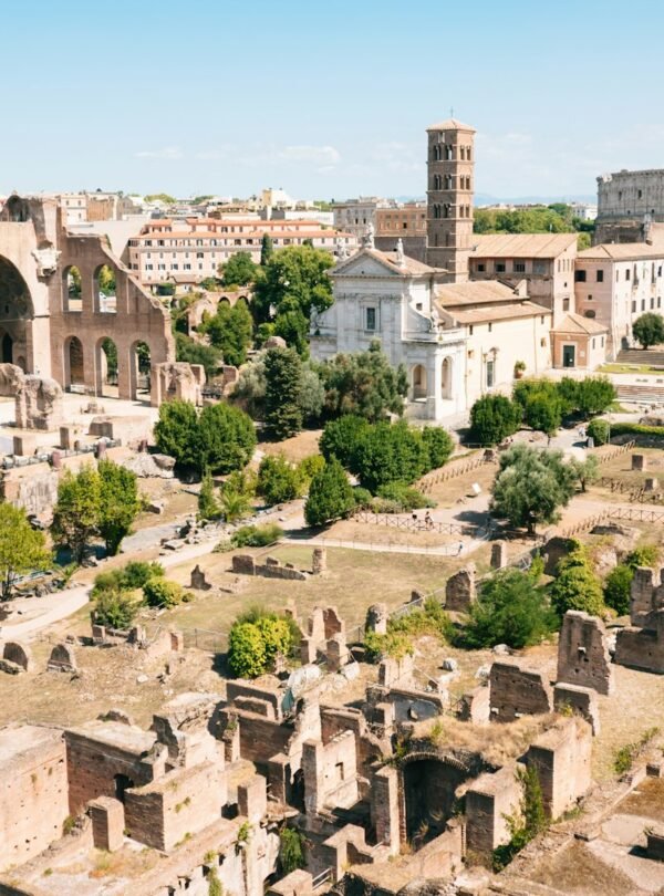 Roman Forum & Palatine Hill Guided Tour - Aerial view of the Roman Forum area